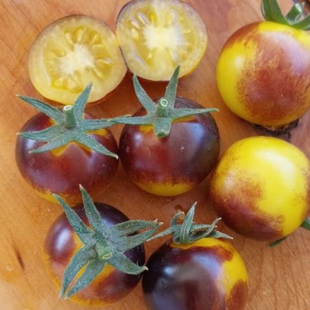 Tomate Cherry Indigo Sun-1-2