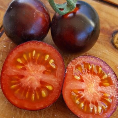 Tomate indigo Rose-1-2